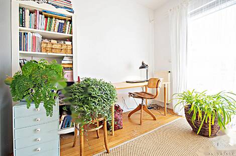 Здание в Бледе: 21