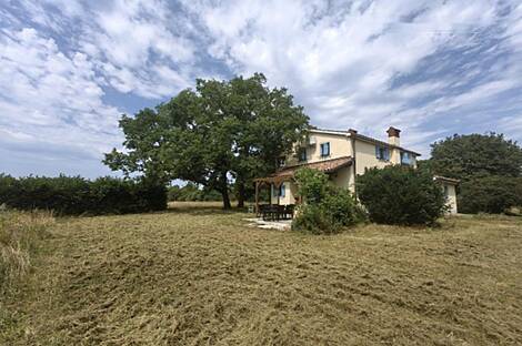 Штаньельский дом Мир: 3