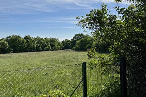 Штаньель, дом, Кобдиль: 20