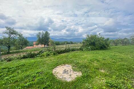 Здание в Ковчице: 5