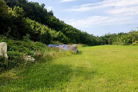 Лучия, Дом: 1