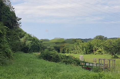 Лучия, Дом: 3