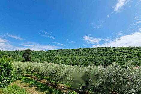 Лучия, Лиминьян, дом: 7