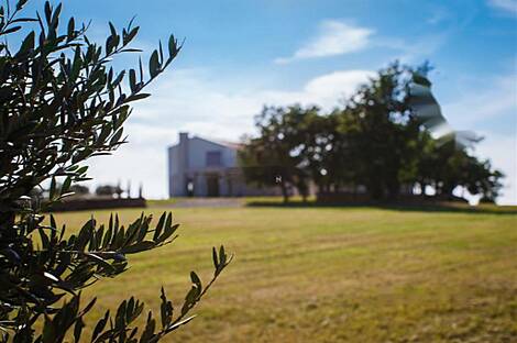 Малья, дом.: 21