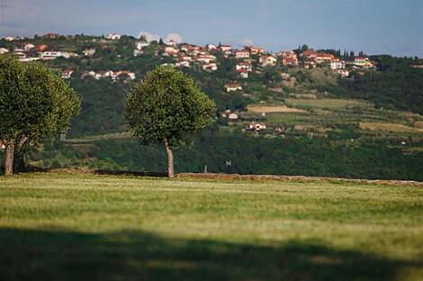 Малья, дом.: 25