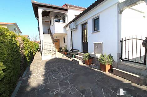 Малия, дом: 28