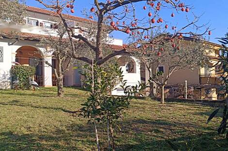 Жилой дом с террасой в Ягодье: 11