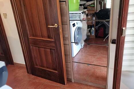 Загородный дом с террасой Ягодье: 21