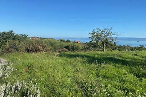 Изола, дом: 10