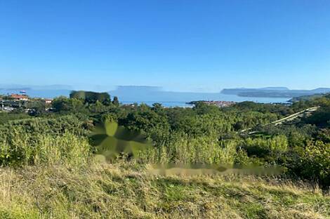 Изола, дом: 12