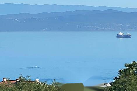 Изола, дом: 13