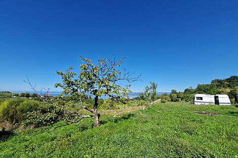 Изола, дом: 16