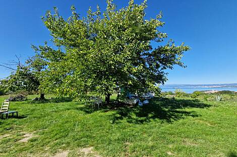 Изола, дом: 17