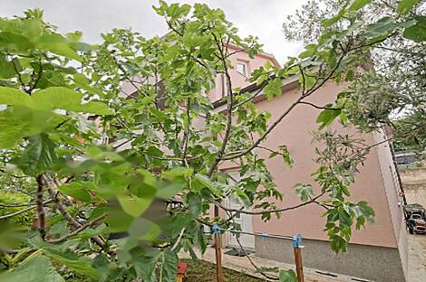 Террасный дом в Верхних Шкофие: 18