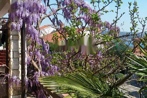 Дом в Портороже: 2