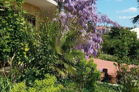 Дом в Портороже: 9