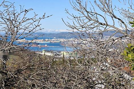 Новый Копер, дом в два этажа: 3