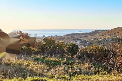 Плавье, дом: 2