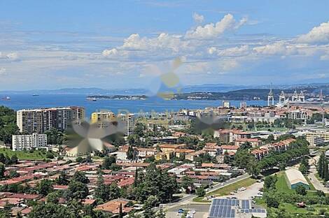 Копер, дом: 19