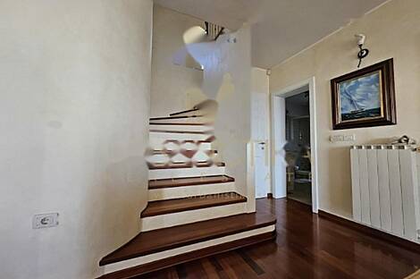 Копер, дом: 22