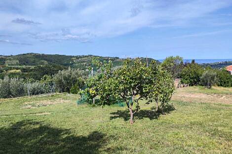 Дом Ягодье старый.: 2