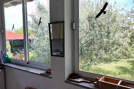 Дом Ягодье старый.: 18