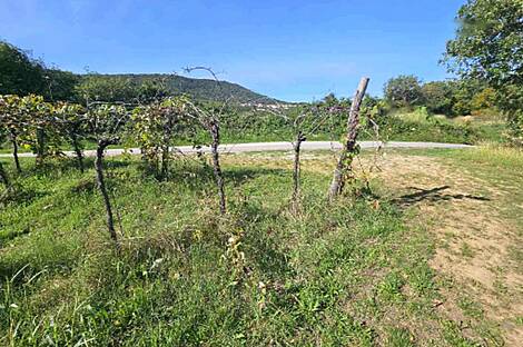 Объект 1 Дом Бангнель: 8