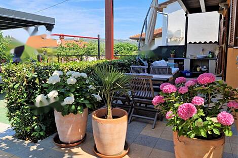 Здание, Сеча: 6