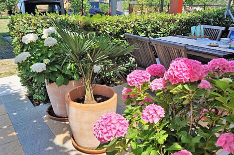 Здание, Сеча: 17