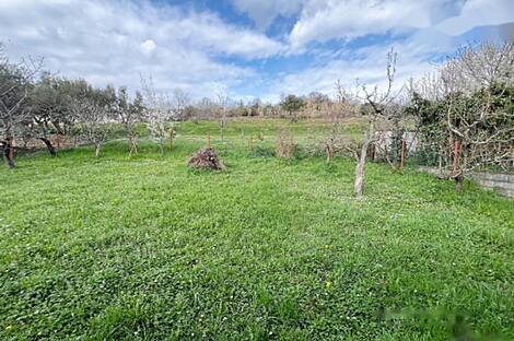 Луция, дом.: 10