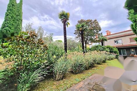 Резиденция в Чежарии: 4