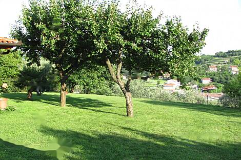 Здание, Лужайка: 5