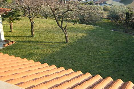 Здание, Лужайка: 8