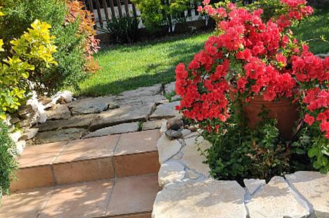 Дом в Марковеце с террасой: 4