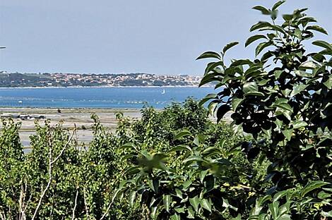 Здание, Сеча: 4