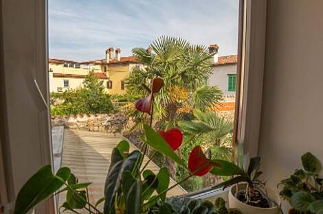 Копер, дом: 15