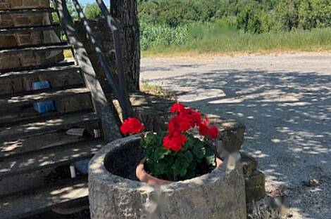 Резиденция Бельведур: 9