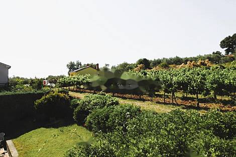 Коштобоновский дом Копер: 2