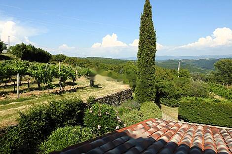 Коштобоновский дом Копер: 25