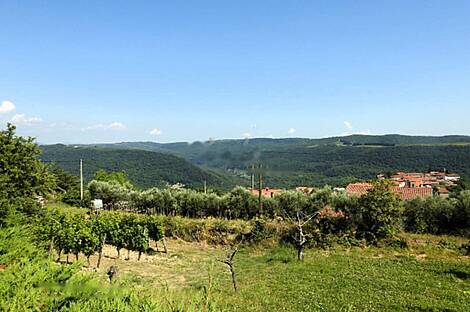 Коштобоновский дом Копер: 26