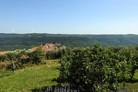 Коштобоновский дом Копер: 27