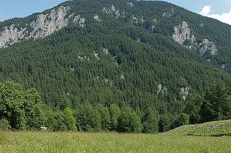 Земельный участок для застройки в Гальевице: 1