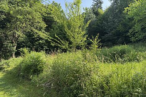 Подутика, Глинце, участок.: 2