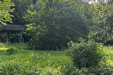 Подутика, Глинце, участок.: 4