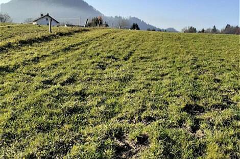 Земельный участок для инвестиций в Верхних Гамельнях: 1