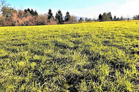 Земельный участок для инвестиций в Верхних Гамельнях: 3