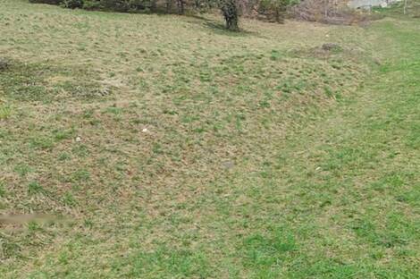 Воловле: Участок под застройку, Поместье.: 1