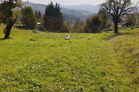 Земельный участок для строительства в Воловле: 1