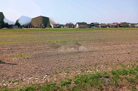 Земельный участок, расположенный в Горелово, в спокойном и солнечном месте.: 1