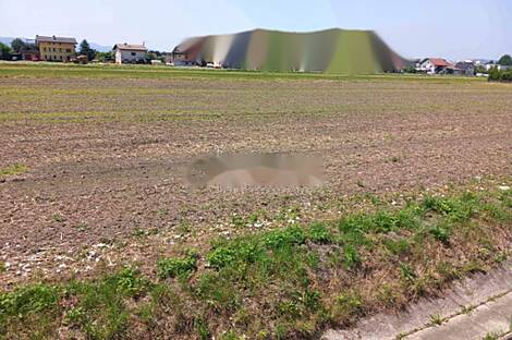 Земельный участок, расположенный в Горелово, в спокойном и солнечном месте.: 2